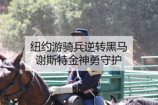 niu-yue-you-qi-bing-ni-zhuan-hei-ma-xie-si-te-jin-shen-yong-shou-hu-1-726.jpg